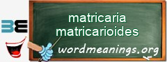 WordMeaning blackboard for matricaria matricarioides